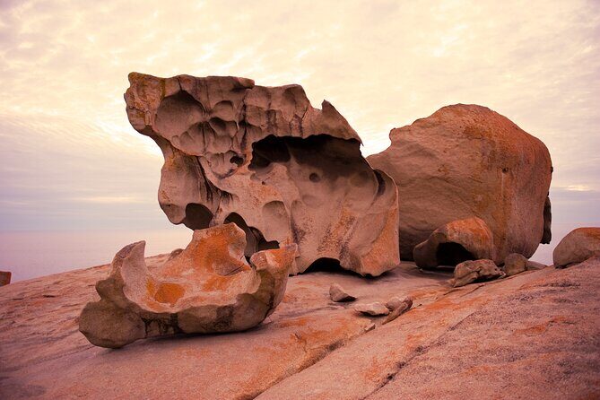 One Day Kangaroo Island Highlights Tour - The Experience: What You’ll Actually Do