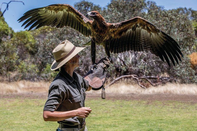 One Day Kangaroo Island Sip & See tour with return ferry transfers from Adelaide - The Itinerary in Detail