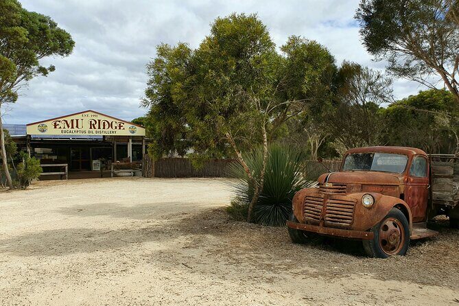 One Day Kangaroo Island Sip & See tour with return ferry transfers from Adelaide - Authentic Experiences and Visitor Feedback