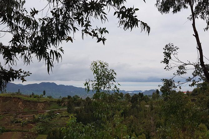One-day Kivu Lake Adventure - Authentic Experiences and Real Traveler Opinions