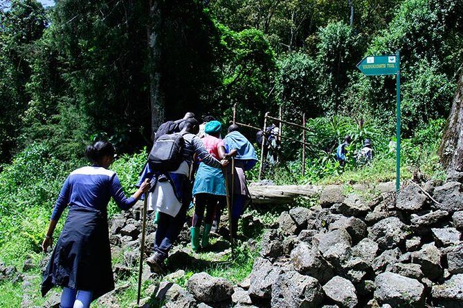 One Day Mount Bisoke Hike Adventure Tour in Volcanoes Park - The Itinerary: What’s in Store for You?