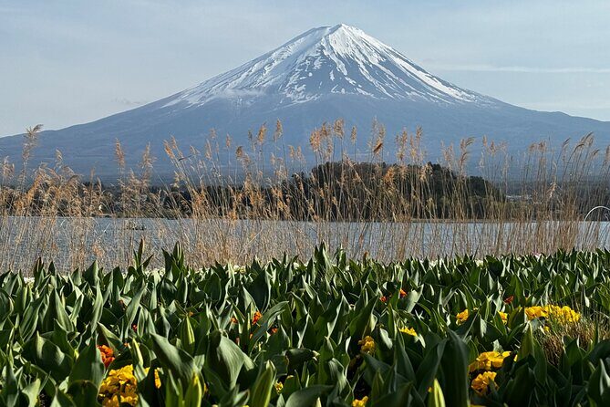 One day mountain Fuji & Hakone tour with English hindi bilingual - Who Will Love This Tour?