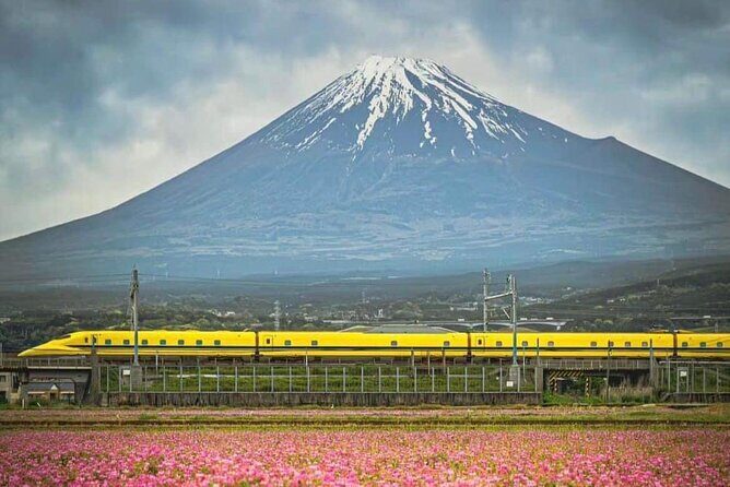 One day mountain Fuji & Hakone tour with English hindi bilingual - The Sum Up