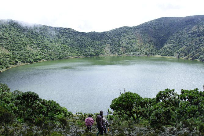 One Day Mt Bisoke Hike Adventure in Volcanoes Park ( 2 Pax Min) - FAQ