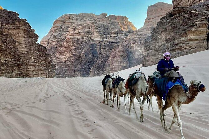 One Day Petra & Wadi Rum from Aqaba - Authentic Experiences and Review Highlights