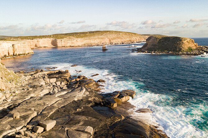 One Day Port Lincoln Tour - Tasting Eyre - Practical Tips for Travelers