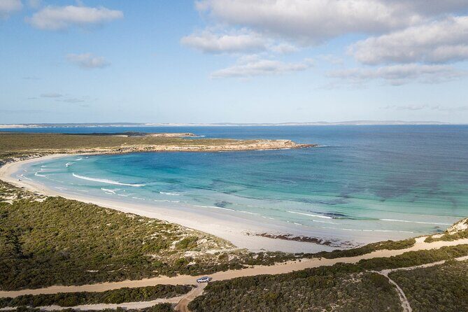 One Day Port Lincoln Tour - Tasting Eyre - Who Should Consider This Tour?