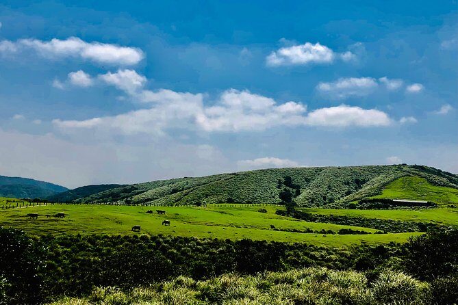 One-day private chartered car tour in Taipei: Yehliu, Jiufen, Pingxi, North Coast popular attractions with chartered car, professional Chinese/English driver - FAQ