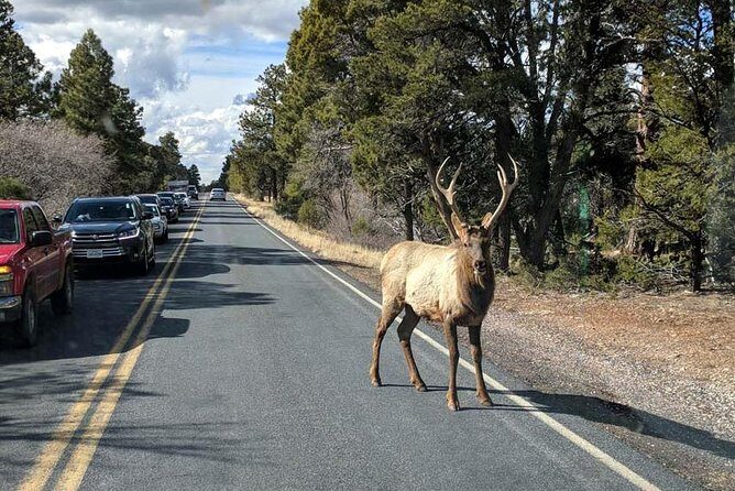 One-Day Private Grand Canyon National Park/Sedona tour from Phoenix-Scottsdale - The Experience Through Guests’ Eyes