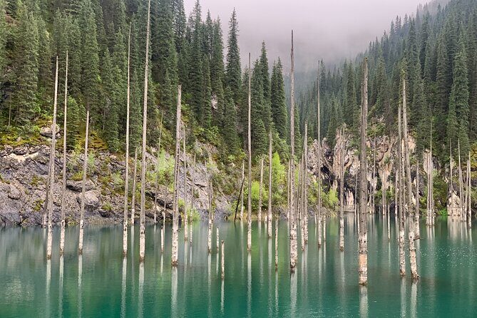 One Day Private Kolsay and Kaindy Lake, Charyn and Black canyon - An In-Depth Look at the Itinerary