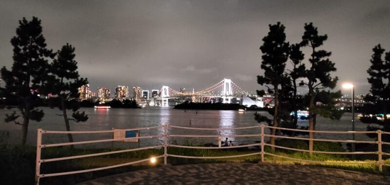 One Day Private Tour of Tokyo Famous Places - The Practical Side: Value and Considerations