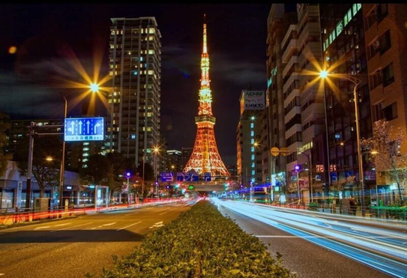 One Day Private Tour of Tokyo Famous Places - Who Will Love This Tour?