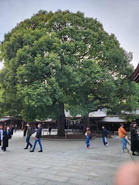 One Day Private Tour of Tokyo Famous Places - FAQs