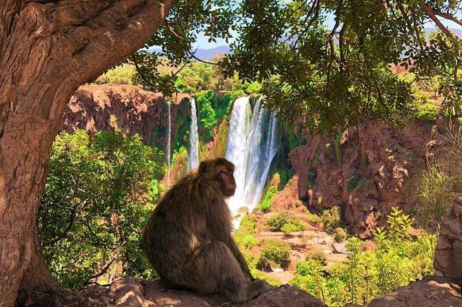 One Day Private Tour To Ouzoud Waterfalls from Marrakesh - FAQ