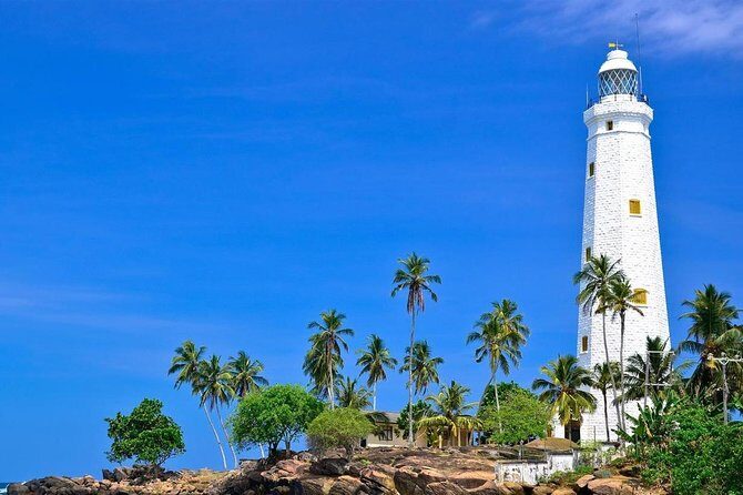 One Day Shore Excursion to Down south Sri Lanka - Authentic Experiences and Real Traveler Feedback