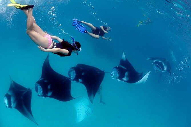 One Day Snorkeling Trip & West Tour Nusa Penida by Penidago - Key Points