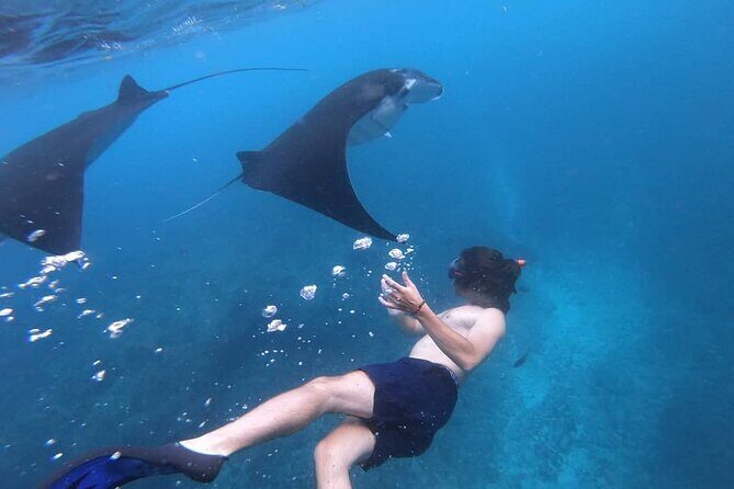 One Day Snorkeling Trip & West Tour Nusa Penida by Penidago - Price & Value