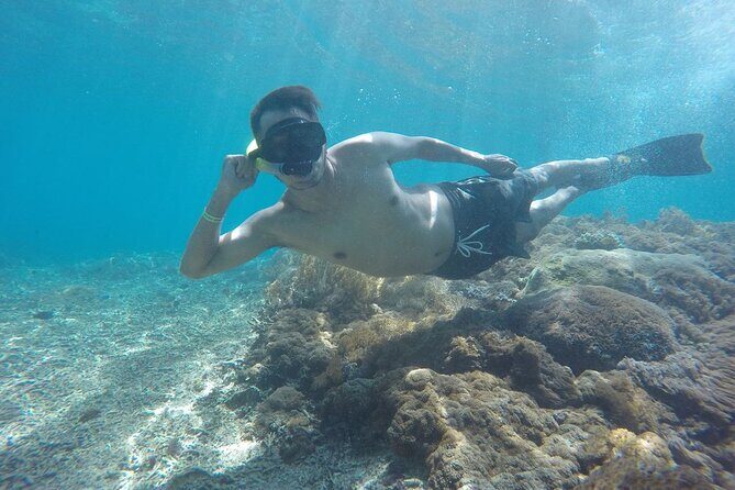 One Day Snorkeling Trip & West Tour Nusa Penida by Penidago - Who Will Love This Tour