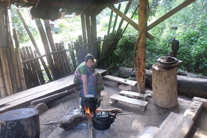 One day tour Doi Inthanon National Park and Trekking on Kew Mae Pan Trail - Transportation and Guides: Why They Matter