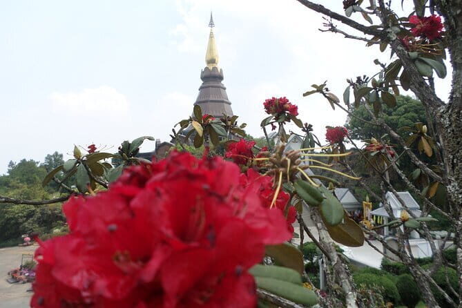 One day tour Doi Inthanon National Park and Trekking on Kew Mae Pan Trail - Authentic Experiences and Real Reviews