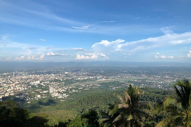 One Day Tour Doi Suthep Temple, Palad Temple, Orchid Farm, Longneck hill tribe village (Private tour) - Comfort, Convenience, and Value