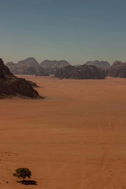 One Day Tour from Aqaba - Petra and Wadi Rum - Aqaba - Frequently Asked Questions