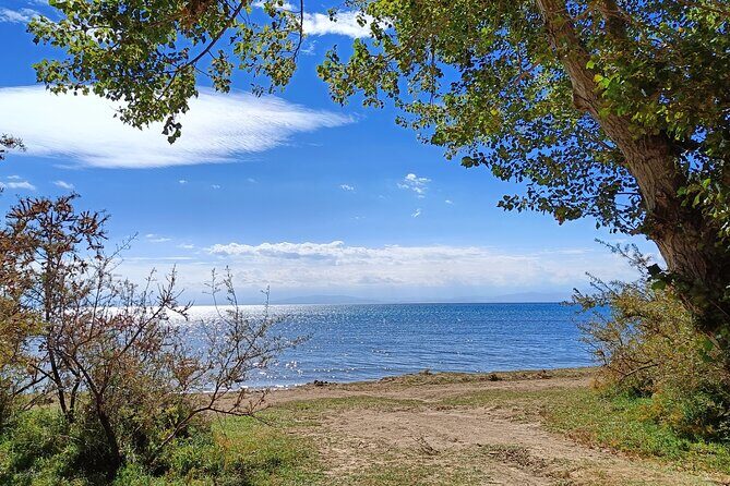One-day tour from Bishkek to Issyk-Kul Lake - The Itinerary in Detail: What to Expect