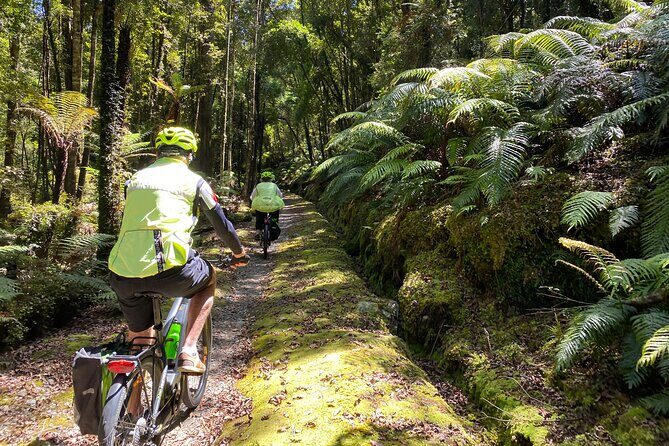 One Day Tour from Hokitika on Wilderness Trail by eBike - Key Points
