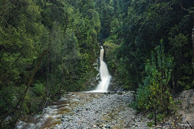 One Day Tour from Hokitika on Wilderness Trail by eBike - An In-Depth Look at the Itinerary