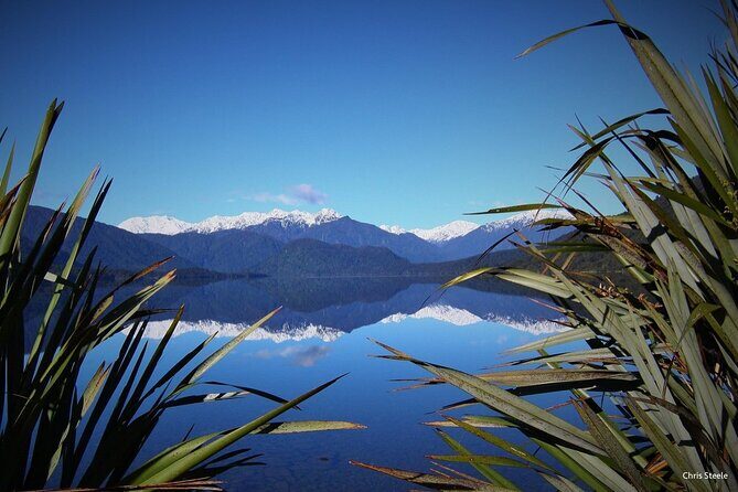One Day Tour from Hokitika on Wilderness Trail by eBike - What Travelers Say and What It Means for You