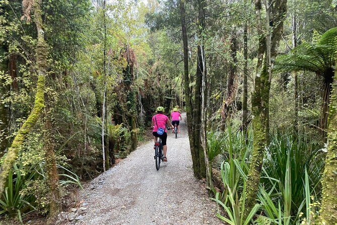 One Day Tour from Hokitika on Wilderness Trail by eBike - The Bottom Line: Who Should Consider This Tour?