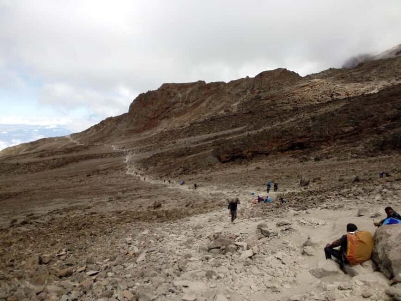 One-Day Tour: Kilimanjaro Lemosho Route from Arusha/Moshi - An In-Depth Look at the Kilimanjaro Lemosho Route One-Day Tour