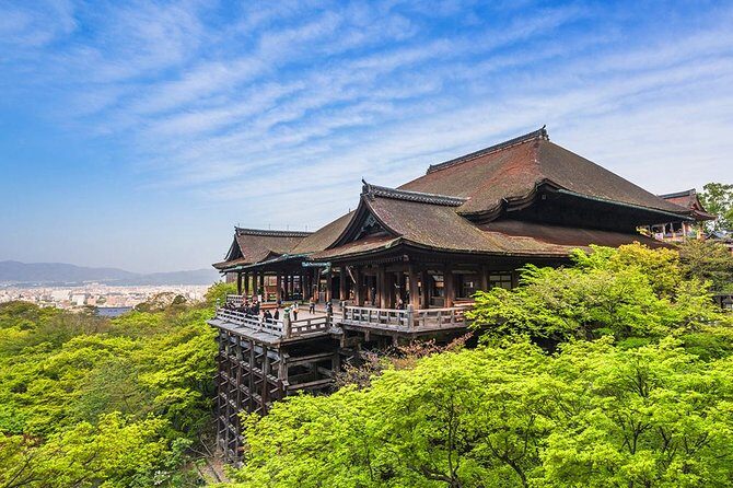 One-Day Tour of Kyoto's Highlights from Osaka/Kyoto - Who WouldBenefit Most from This Tour?