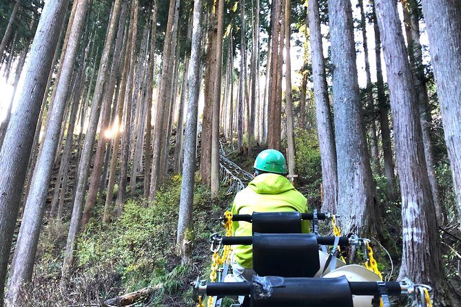 One Day Tour of Tokyo's Plentiful Nature in Hinohara Village - Frequently Asked Questions (FAQs)