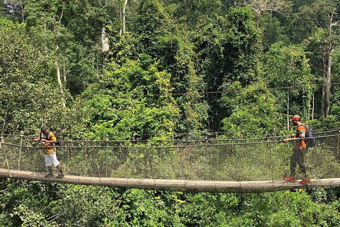One Day Tour To Cape Coast, Elmina Castle, Kakum National Park - Who Should Consider This Tour?