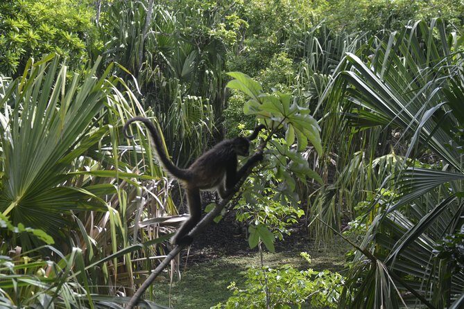One Day Tour to Chacchoben Mayan City and Bacalar Lagoon with a Certified Guide - Authentic Experiences and Tips