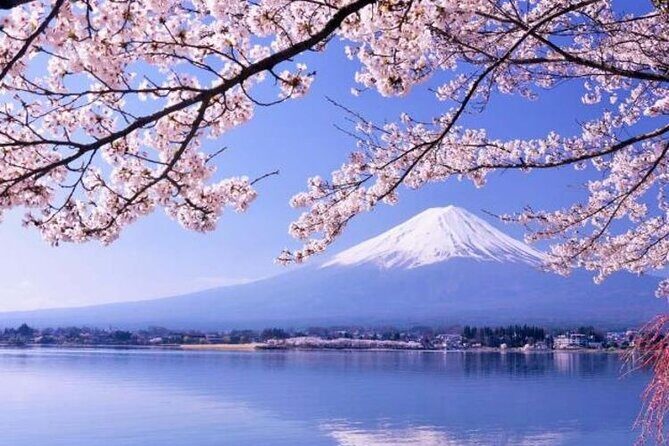 One day tour to Mount Fuji's popular attractions - Exploring the One-Day Tour to Mount Fuji’s Popular Attractions