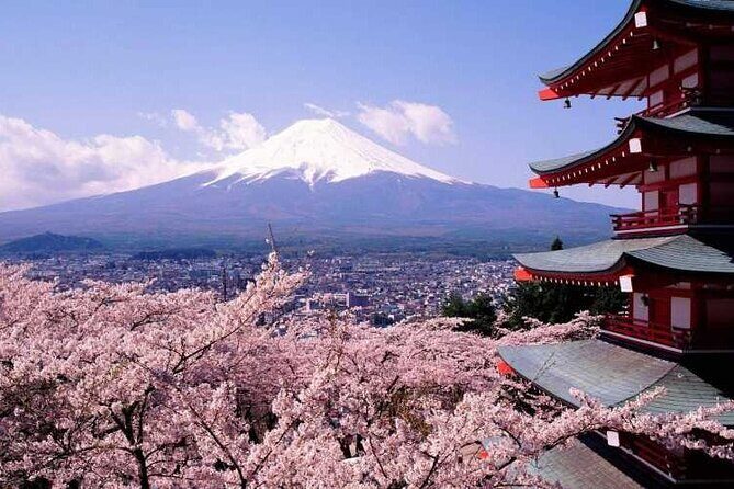 One day tour to Mount Fuji's popular attractions - A Closer Look at the Itinerary