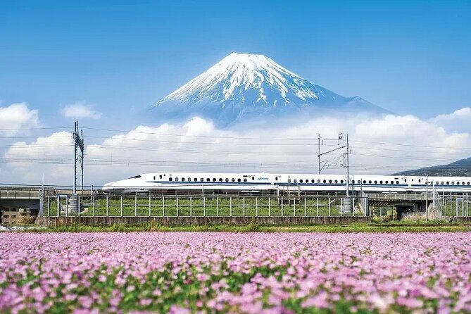 One day tour to Mount Fuji's popular attractions - Authentic Experiences and Practical Insights