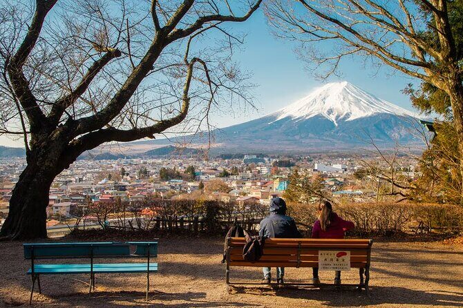One day tour to Mount Fuji's popular attractions - Who Should Consider This Tour?