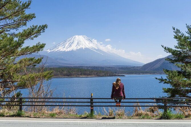 One day tour to Mount Fuji's popular attractions - The Sum Up: Is This Tour Worth It?