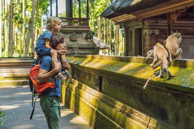 One Day Tour Ubud With Private Guide - Key Points