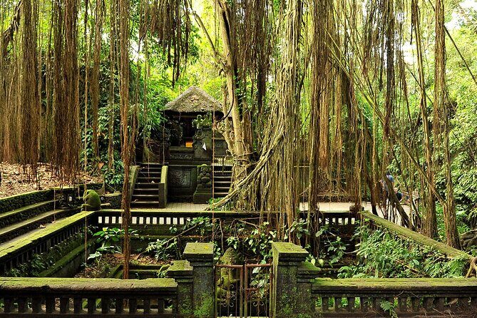 One Day Tour Ubud With Private Guide - Exploring Ubud’s Highlights with a Private Guide