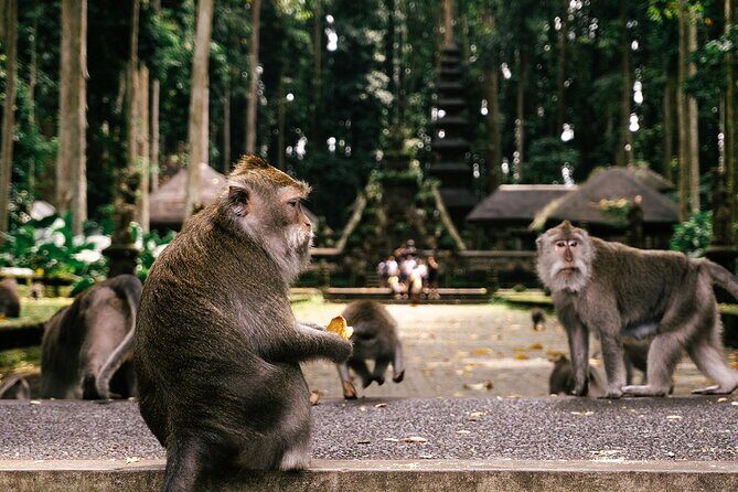 One Day Tour Ubud With Private Guide - Value and Overall Impression