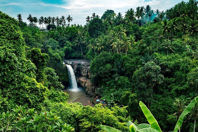 One Day Tour Ubud With Private Guide - Who Should Consider This Tour?