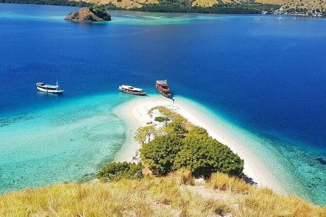 One Day Tours Komodo - Padar Island - Authentic Experiences and Traveler Feedback