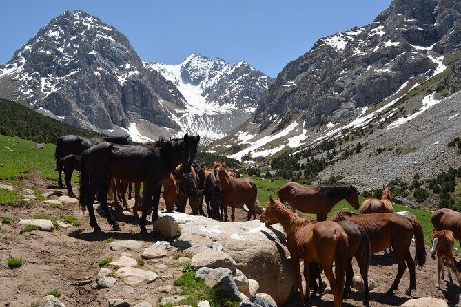 One day Trek in Osh to Sacred Sites and Panoramic Views - What’s Included and What’s Not