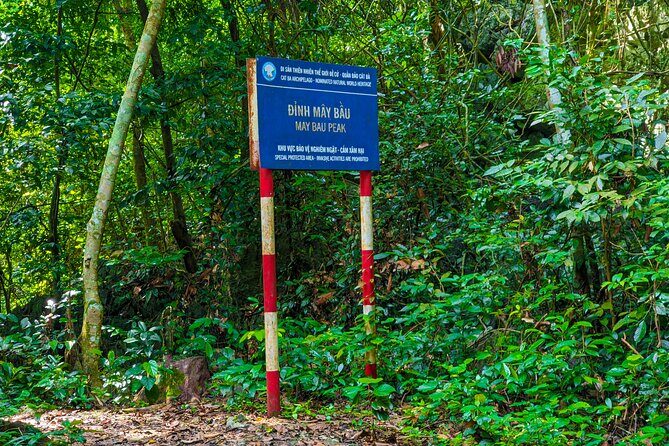 One Day Trekking Cat Ba National Park - Key Points
