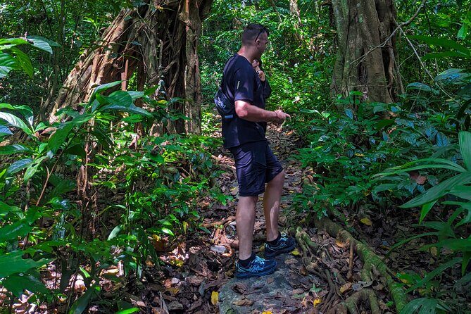 One Day Trekking Cat Ba National Park - Why This Tour Is Worth It
