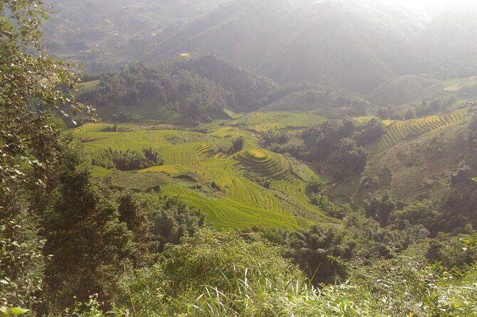 One day Trekking in Sapa and Muong Hoa Valley with local guide - Who Is This Tour Best For?